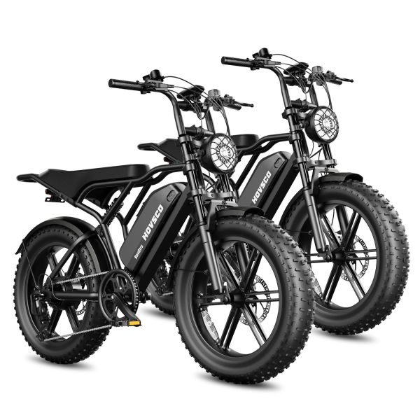 EU Stock 20 Inch Fat Tire E Bike 48V 15AH Electric Bike Vintage Off-Road E-Bike Hydraulic Disc Brakes E Bike