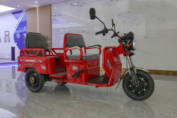 800w Passenger Electric Tricycle With Back Seat Foldable Safety Guardrail
