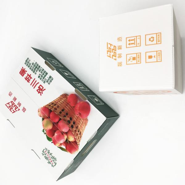 Anti - Virus 2.0mm-5.0mm Plastic Corrugated Box For Advertising Flexo Finish