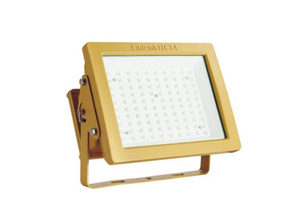 IP65 Aluminum Alloy Explosion Proof LED Light Fixture For Gas Station Light