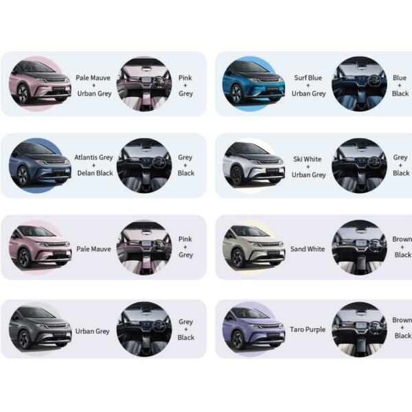 Travel Right Hand Drive Vehicles BYD Dolphin Hatchback Car