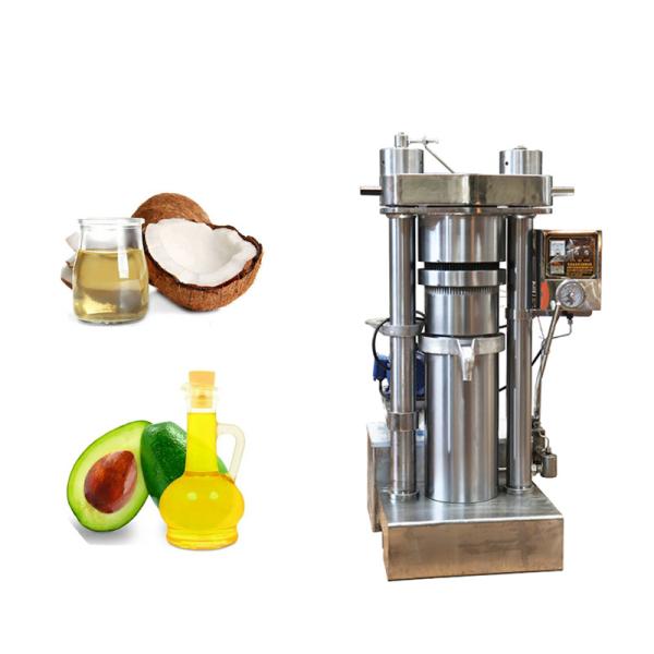 Простое оборудование экстрактора гидравлического масла деятельности для авокадового масла
