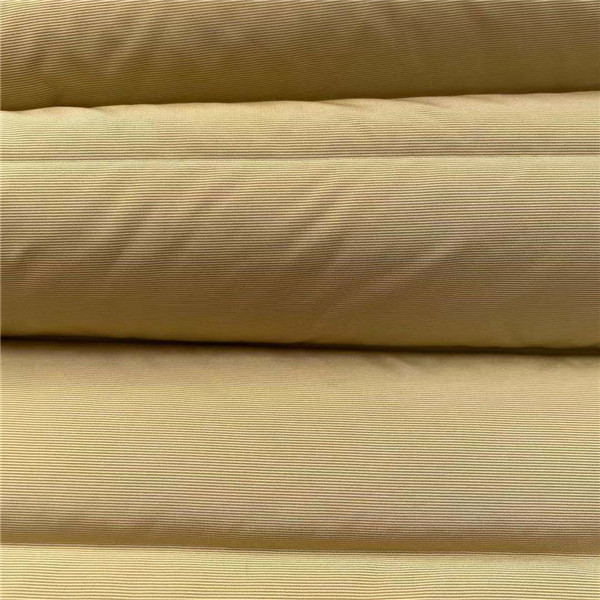 50D 50D Winter Jacket Fabric