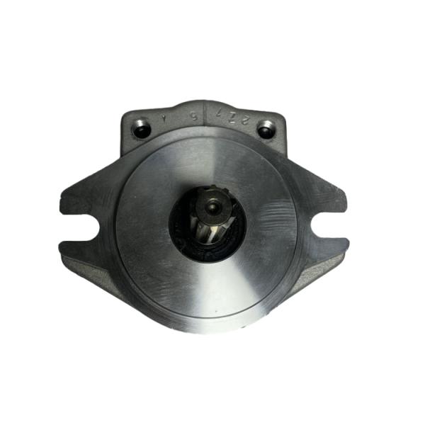 Long Working Life Steel Material Hydraulic Pump with 6 Months Warranty for HELI CPD20-30 Forklift Spare Part DSG05/DSG05C16F9H1-R016CH