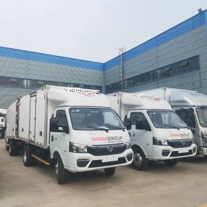 Dongfeng Mini Refrigerated Truck Fresh Food Freezer Refrigerator Truck