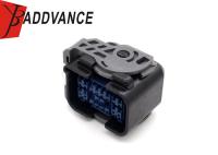 6189-7264 22 connecteurs noirs de Pin Female Automotive ECU avec des terminaux et des joints