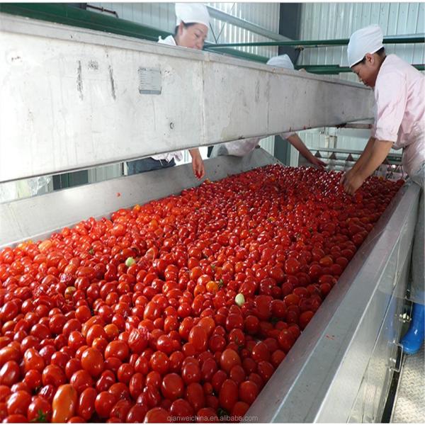 2025 Automatic Tomato Paste Filling Machine Production Line Tomato Sauce Production Line