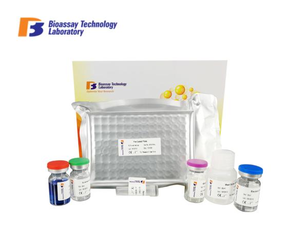 Antibody Human Insulin Elisa Kit Cat No E3473hu 2 Hours Assay Length