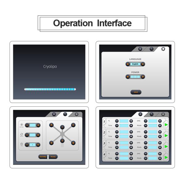 Зеленого света липолиза машины красоты сал лазера 6D красоты лазер 2022 Lipo неинвазивного холодный 532Nm для жирной потери