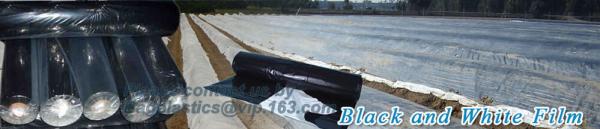 Perforated silver black mulch film for crop production,vegetable garden black / gray perforated mulch layer plastic mulc