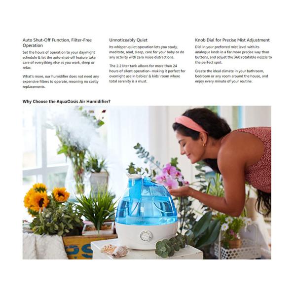 тихий крутой увлажнитель тумана 2.2L