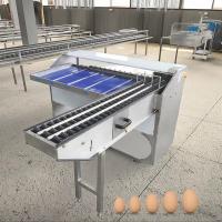 Máquina de clasificar huevos para incubadoras Máquina de clasificar huevos con estampado Máquina de clasificar huevos para la venta