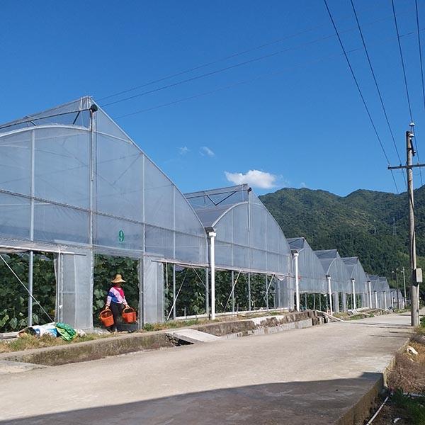 Galvanized Steel Frame Plastic Film Greenhouse For Vegetable Farming