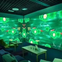 Grand musée Projection murale interactive Écran mural interactif holographique