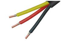 Le câble fiable de représentation de feu, mettent le feu au PVC évalué de cable électrique isolé engainé