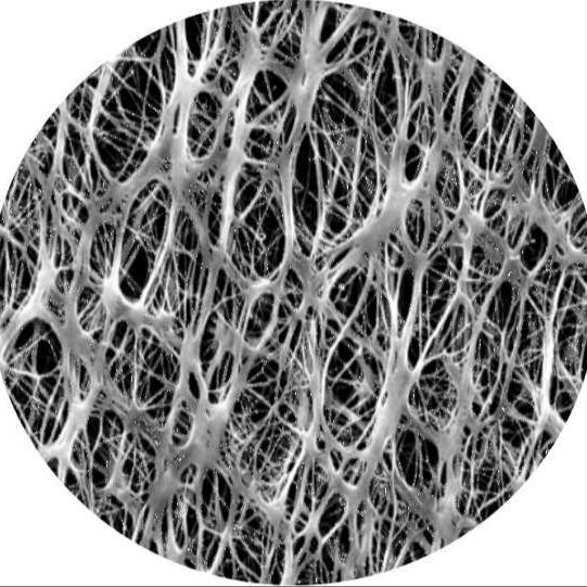 工場で供給されたPTFE膜医療用水害性フィルター 0.22μmから3.0μmの穴位サイズ