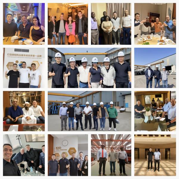 Poultry Equipment Chicken Layer Cages A Type H Type Layer Cage Automatic