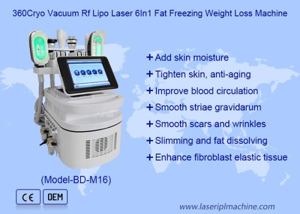 Máquina gorda del liposuction del cryolipolysis del hogar del helada del cryolipolysis portátil