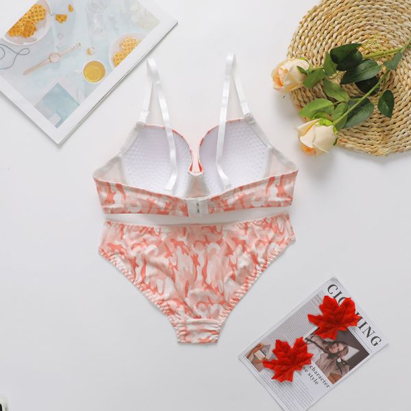 Women Underwear Lingerie Set High Quality Hot Selling Printing Underwire Panty and Bra Set for Ladies