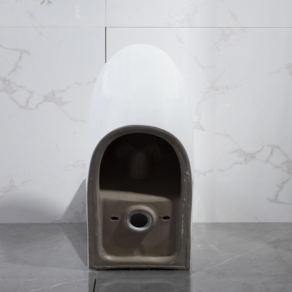 Glazed Ceramic Siphonic Dual Flush One Piece Toilet 12 Inch Rough In