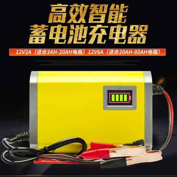 Lead Acid Universal 12v 8a 24v 4a Pulse Repair Battery Charger CCCV