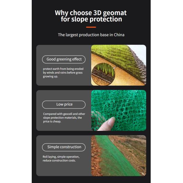 Online Technical Support 3D Erosion Control Geonet for Road Mountain Slope Protection