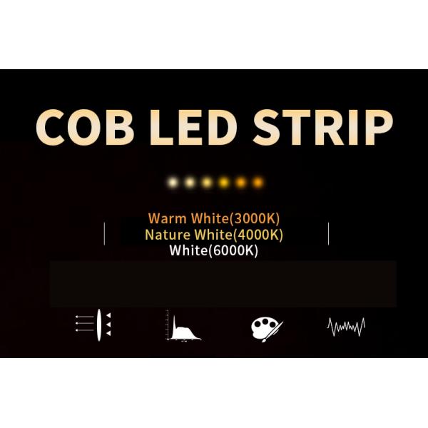 Дистанционное управление COB LED Flex Strip Light с рейтингом IP66 и цветовой температурой 4000K