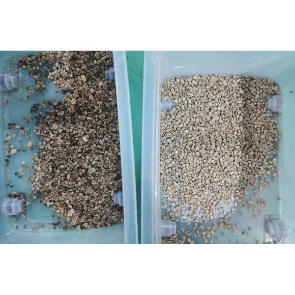 Сырцовые или зажаренные в духовке каналы парашюта 64 сортировщицы 1 цвета кофейного зерна