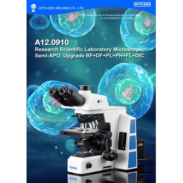 APO Trinocular Compound Optical Microscope with Halogen Lamp Illumination