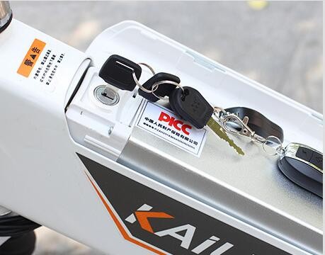 Foldable 24 Inch 200w 48V 700c Electric Bike