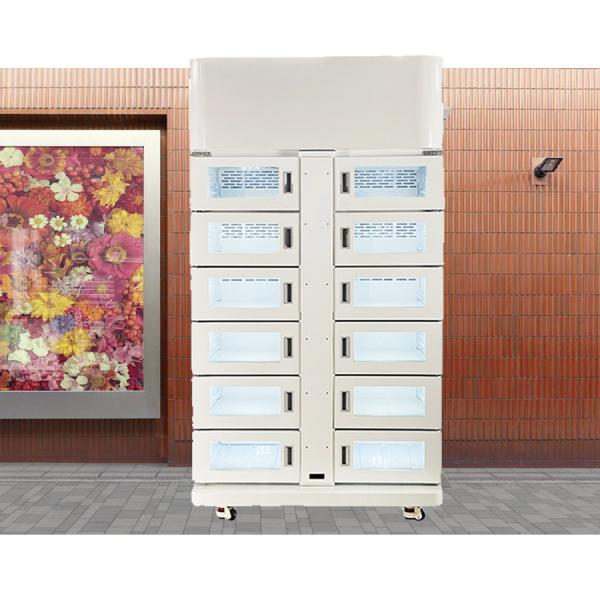 Alimentos Frescos Armazém Frigorífico Com Refrigeração Inteligente Para Supermercado Vendas On-line