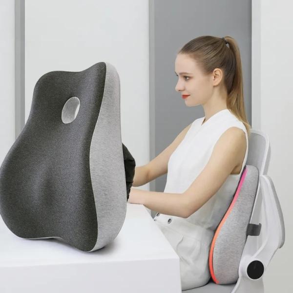 Memory Foam Back Cushion for Car Chair Home Office Modern Style Lumbar Support Pillow