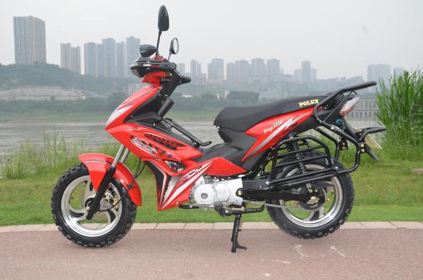 Powerful Engine 4 Stroke 125cc Street Legal Motorcycle 501W - 1000W