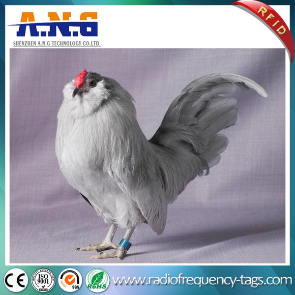 Pigeon Ring Band Passive Rfid Tags , ABS waterproof rfid tags Tracking Animal