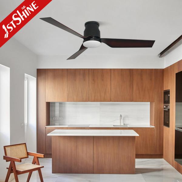 5 Velocidade de escolha de lâminas de plástico LED ventilador de teto com montagem de fluxo de luz e perfil baixo