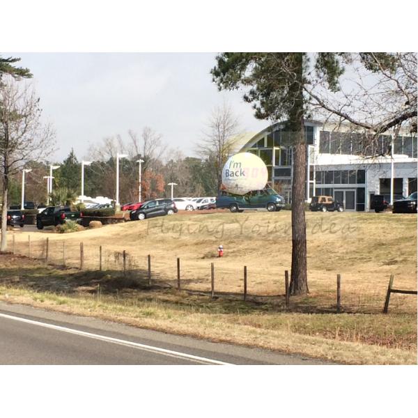 Подгонянные воздушные шары гелия PVC раздувные рекламируя для представления события