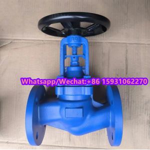 GLOBE VALVE