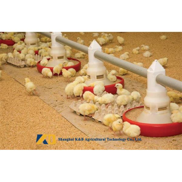 Raw Rice Protein Powder / Poultry Vitamin Supplement With 65% Protein Content