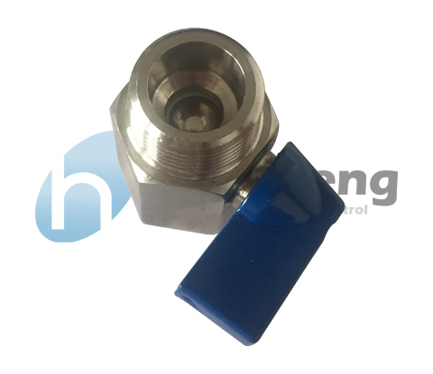1 Inch Stainless Steel Mini Ball Valve 316 1000 Wog  Bsp Mf Threaded