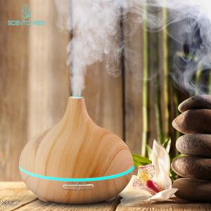 Diffuseur frais d'huile essentielle de la brume 300ML