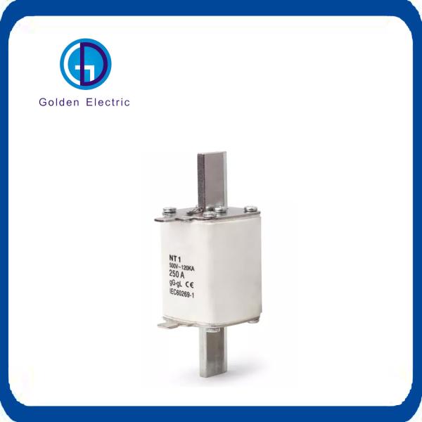 Nh00-Nh4 Gg 500V-120ka TUV CE CB RoHS Dual Indicator Fuse Link and Nt00 Double Indicator SMC