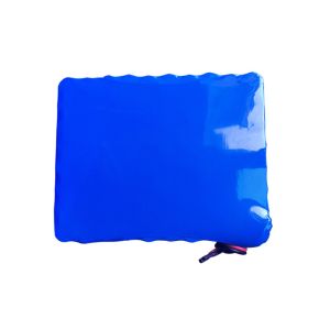 24V Lithium Ion Battery Pack