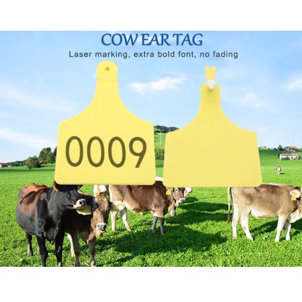 Personalized Animal Ear Tags Waterproof Cow Identification Tags