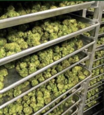 Метал пефорированный поднос 304 сетки обезвоживателя подноса выпечки печи дюйма 18кс26