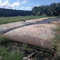 GT330D 50/50KN/M 0,4-0,8 mm geotubo de desaguamento para tratamento de águas residuais de óleo de palma sem adição de floculante