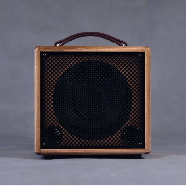 Rolands AC-60s Clone Ss Acoustic Amplifier with Natural Birch Enclosure