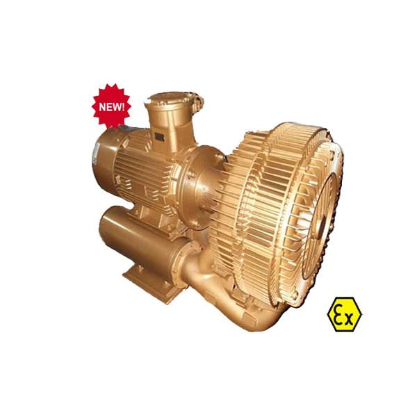 Anti Corrosinon Electric Goorui Side Channel Blower Pump Anti Explosion