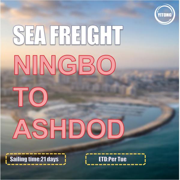 Снабжение груза океана экспорта вкладыша COSCO от Нинбо к плаванию Ашдода Израиля сразу