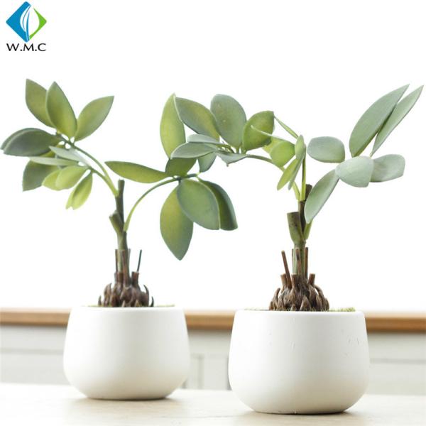 Plastic Faux Green Plants , Home Decoration Good Fortune Bonsai 26cm Height
