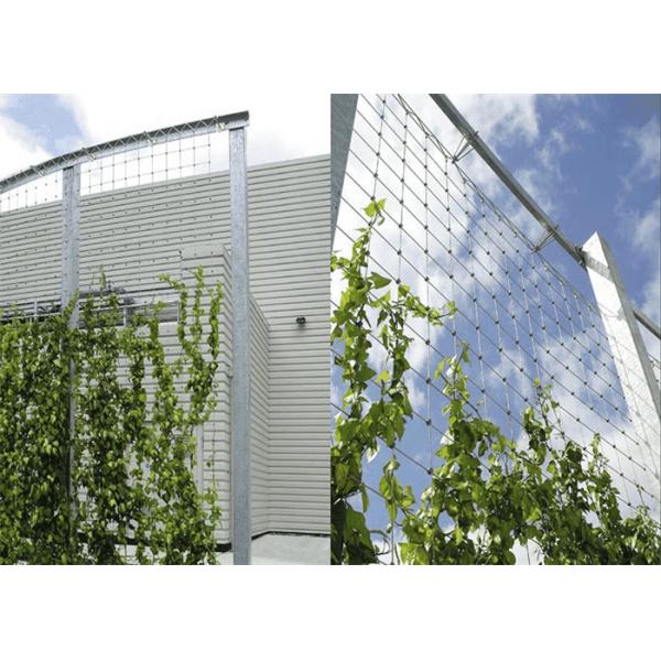 304L 316L Plant Climbing Net Support Mesh 60 Degree Stainless Steel Wall Plant